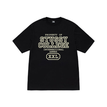 Stussy Propriété DE T Shirt